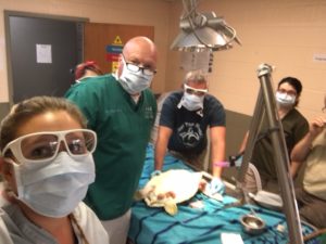 Dr. Middendorf and staff with a sea turtle