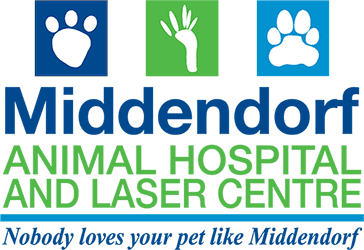 Middendorf Animal Hospital and Laser Centre, Florence, KY