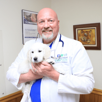 James T Middendorf Jr., DVM at Middendorf Animal Hospital & Laser Center